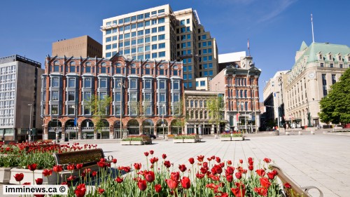 Newfoundland Shocks with Latest Draw