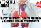 Respiratory therapists, clinical perfusionists and cardiopulmonary technologists Canada Immigration Pathways: Understanding Salaries, Work Roles, and Best Provinces