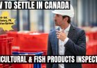 Agricultural and fish products inspectors Canada Immigration Pathways: Understanding Salaries, Work Roles, and Best Provinces