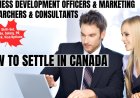 Business development officers and marketing researchers and consultants Opportunities in Canada: A Comprehensive Immigration, Salary, and Duties Guide