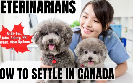 Veterinarians Canada Immigration Pathways: Understanding Salaries, Work Roles, and Best Provinces