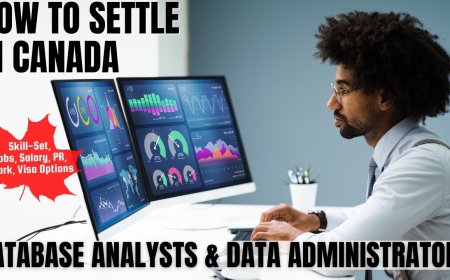 Database analysts and data administrators Canada Immigration Pathways: Understanding Salaries, Work Roles, and Best Provinces