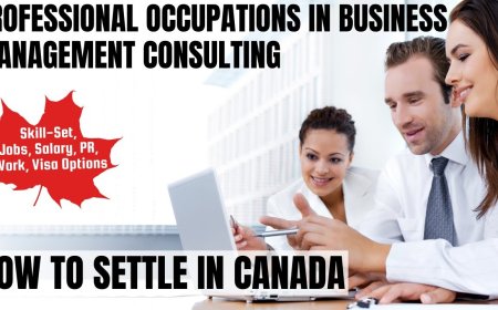 Professional occupations in business management consulting Canada Immigration Overview: Key Insights on Salaries, Employment, and Regional Advantages