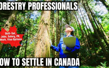 Forestry professionals Migration to Canada: A Detailed Guide on Salaries, Professional Responsibilities, and Preferred Locations