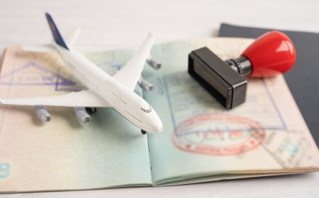 Recent Provincial Immigration Activities in Canada