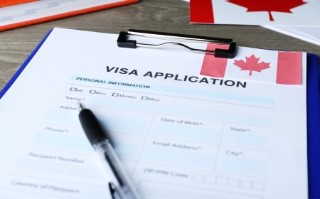 PALs for International Student: Navigating Provincial Attestation Letters