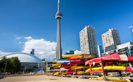 Exclusive: Ontario's Bold Move - Study Permit Allocation Unveiled for 2024