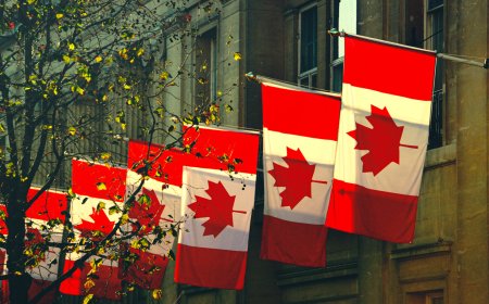 Canada's Immigration Shift: Navigating Changes for Temporary Immigrants