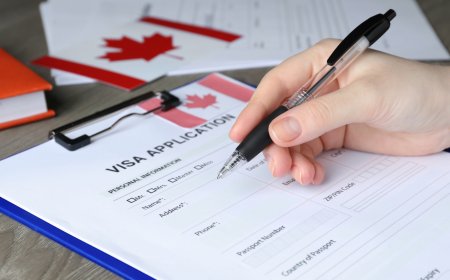 Canada's Immigration Changes: Canada made a Big Bet on Immigration