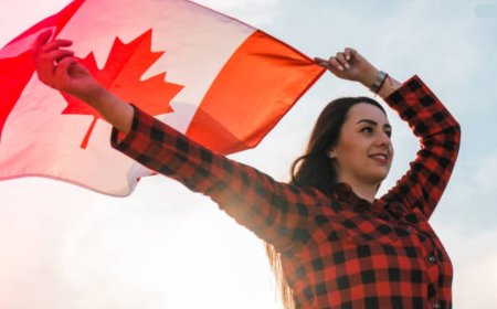 Canada's Latest Provincial Immigration Draws | Canada Immigration News