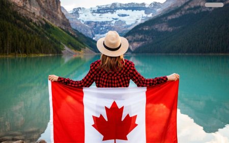 What Are Canada's PNP Programs | Why Should You Consider Them?