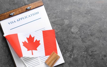 IRCC's New Tool for Immigration Applicants | Canada Immigration Updates