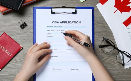 Canada is shaping the Future of Immigration Policies | Canada Immigration Updates