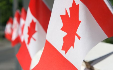 Canada's New Immigration Opportunities | Canada Immigration Updates