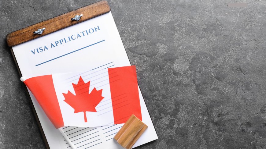 IRCC's New Tool for Immigration Applicants | Canada Immigration Updates