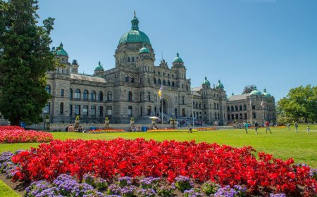 Ontario & BC PNP Draws: Over 400 Invitations Issued in Latest Round | Canada Immigration Updates