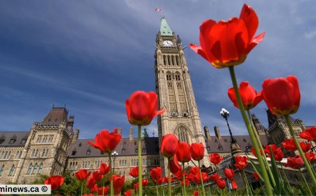 Canada Invited PNP Candidates in Latest Express Entry Draw | Canada immigration News