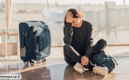 Canadian Study Visa Crisis: Indian Student Approvals Set to Drop by 50%