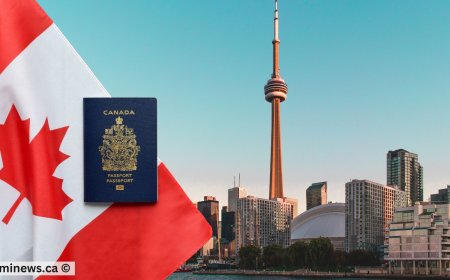 How International Students Can Boost Their PR Opportunities ??