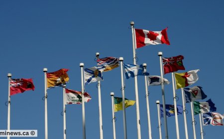 Breaking: BC & Manitoba Immigration Draws, Plus Alberta's Latest Stream Updates