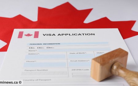 IRCC Issues 500 ITAs to CEC Candidates in Latest Draw