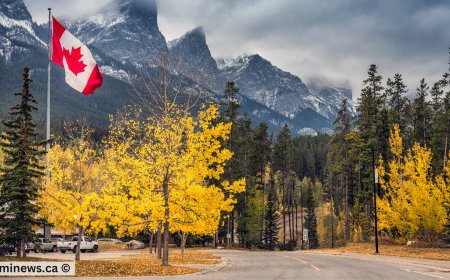 Explore Why Canada is the Top Choice for Job Seekers Around the World