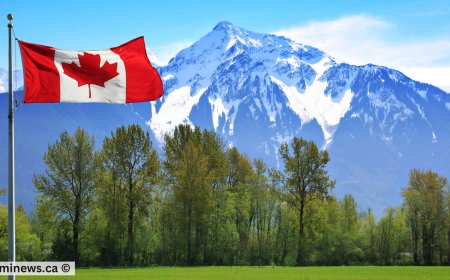 New IRCC Application Fees Starting December 1: How It Affects You