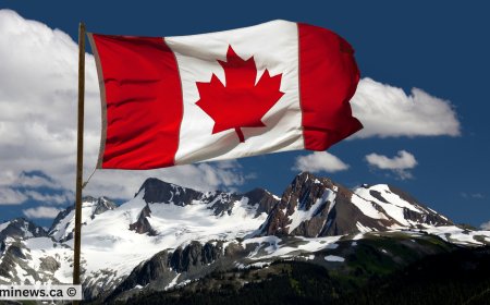 Discover Canada's New Immigration Pilots Launching in 2025