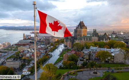 IRCC Reveals New PGWP-Eligible Programs – Check If You Qualify!