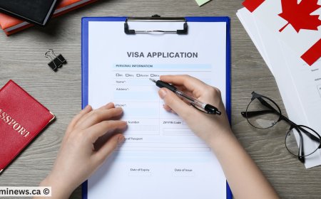 Is Immigration Getting Easier? Explore IRCC’s Backlog and Processing Changes