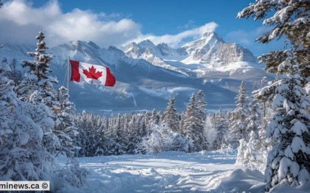 How IRCC’s Latest Draw Sets the Stage for Immigration in 2025