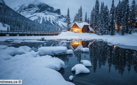 Canada Issues 1,350 ITAs in First CEC Draw of 2025 – Are You Next?