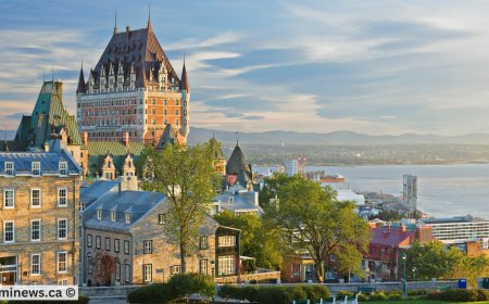 Quebec Opens Key Immigration Programs for Workers in Food, AI, IT & Healthcare
