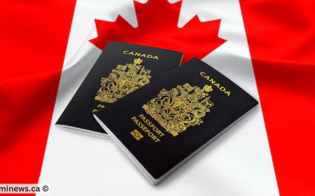 Latest PNP Draws in Manitoba and Alberta: Are You Eligible to Apply?
