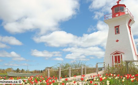 Prince Edward Island’s First PNP Draw of 2025: Key Updates and Insights