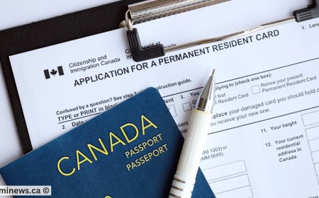 Good News: Canada Introduces New Immigration Pathways for Skilled Workers