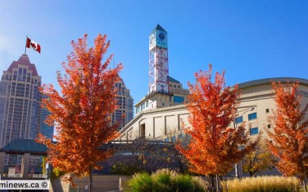 Canada PNP Draws: BC & Manitoba Invite Candidates, Alberta Immigration Pool Updates