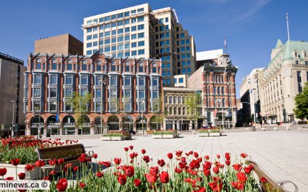 Latest PNP Draws: Manitoba & Alberta Invite Skilled Workers