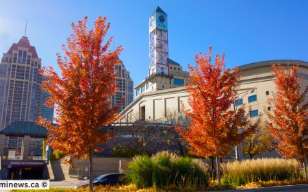 Breaking: IRCC Sends Over 500 Invitations in Surprise Express Entry Draw!