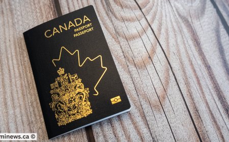 Alberta Holds 5 Targeted Immigration Draws in June 2025