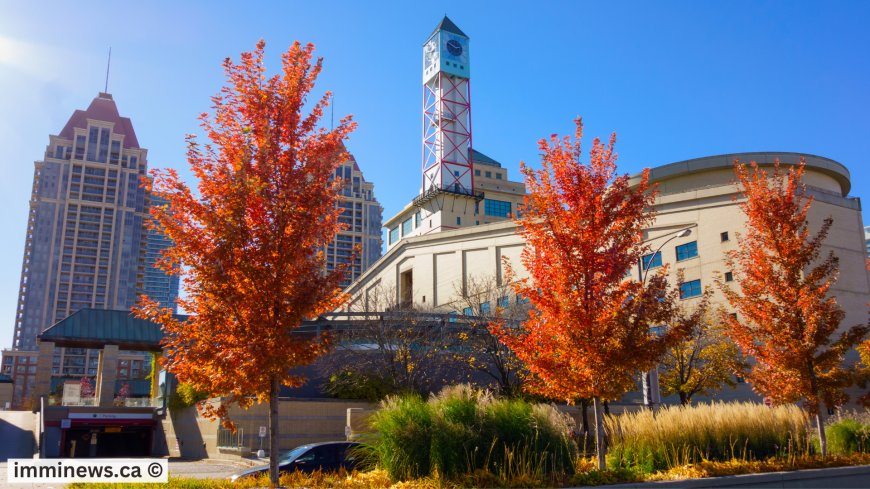 Breaking: IRCC Sends Over 500 Invitations in Surprise Express Entry Draw!