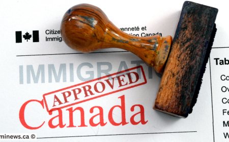 New IRCC Data Reveals Rising Backlog—Is Your Visa at Risk?