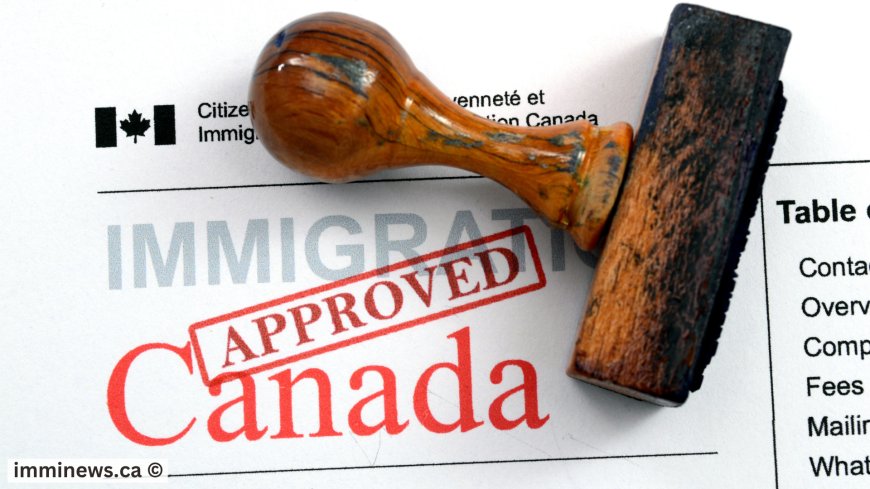 New IRCC Data Reveals Rising Backlog—Is Your Visa at Risk?