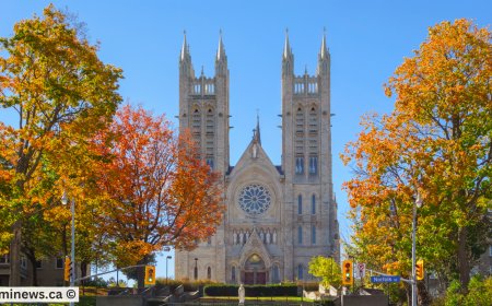 Newfoundland & Labrador Issues PNP Invitations in Latest 2025 Draw