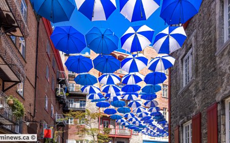 Canada Immigration Cuts—with a Key Exception: Francophone Pathway