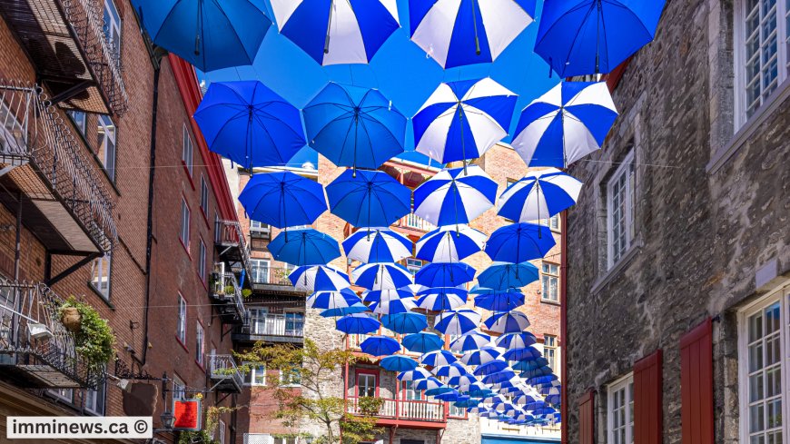 Canada Immigration Cuts—with a Key Exception: Francophone Pathway