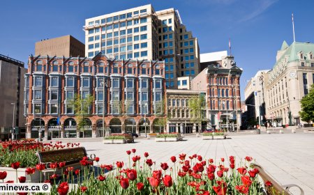 Newfoundland Shocks with Latest Draw – Over 200 Immigration Invitations Issued!