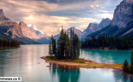 Big Boost: Alberta’s PR Quota Increased for this Year