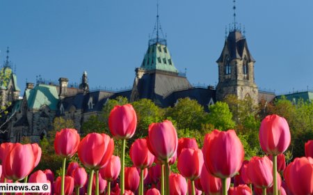 New Brunswick Issues 1,000+ PNP Invitations in August 2025