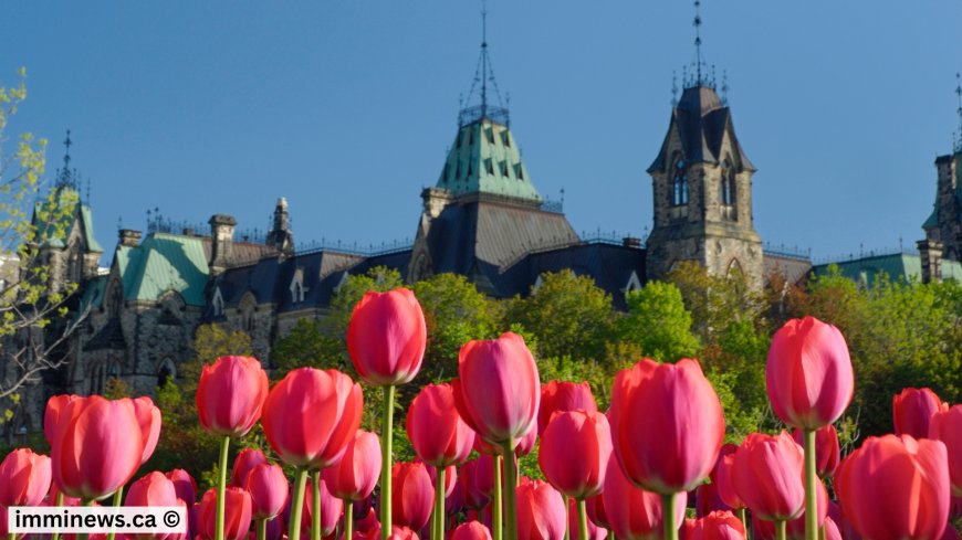 New Brunswick Issues 1,000+ PNP Invitations in August 2025